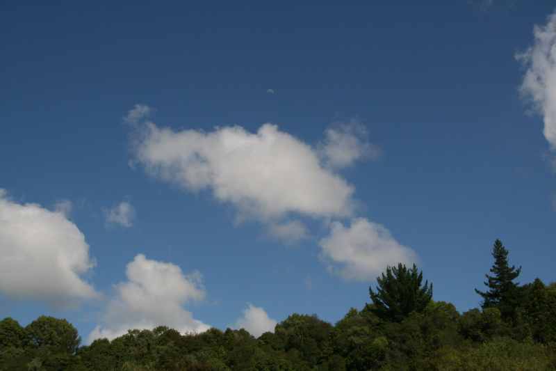 Nieuw-Zeeland 2011 - 0809